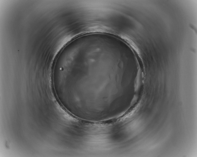 X0000099320941200805021310