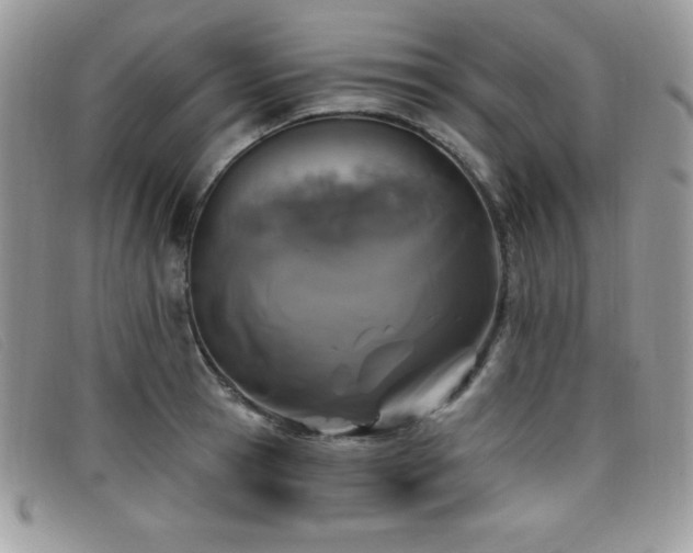 X0000099320945200805021310