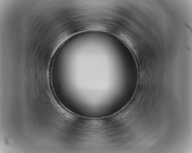 X0000099320947200805021310