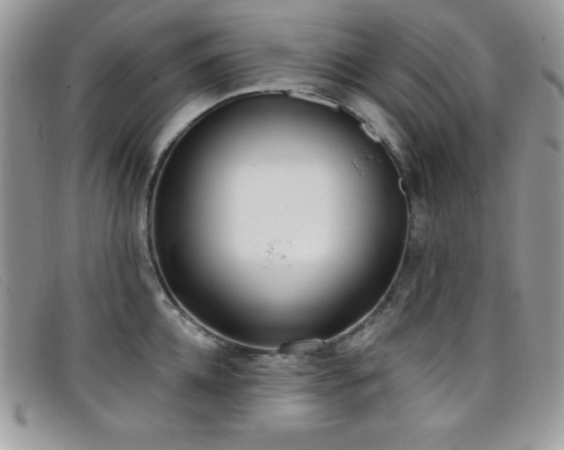 X0000099320952200805021310