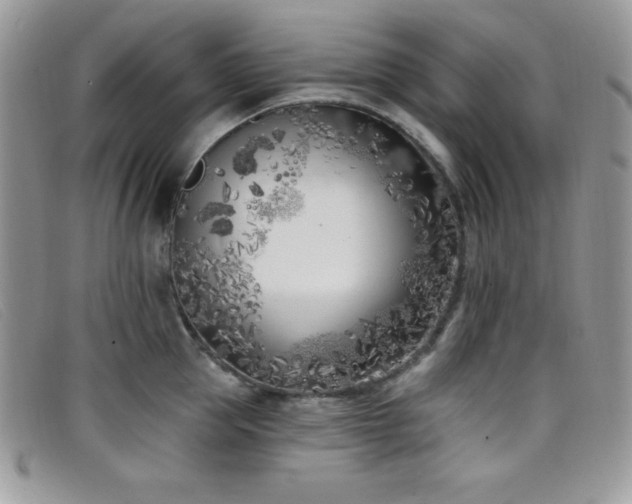 X0000099320953200805021310