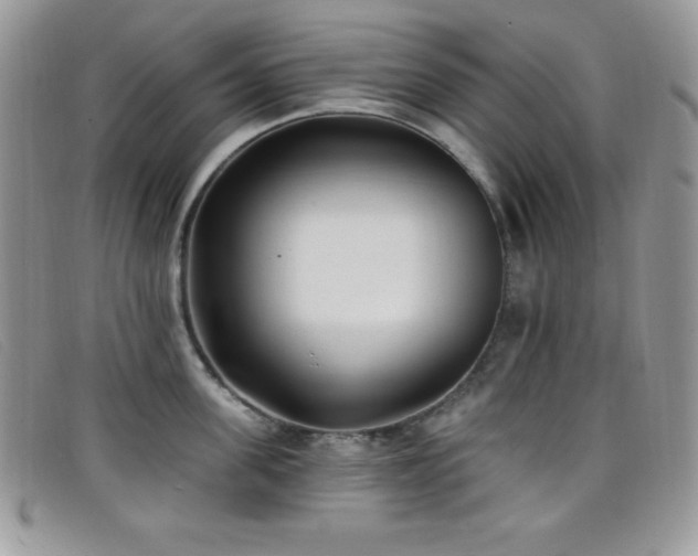 X0000099320955200805021310