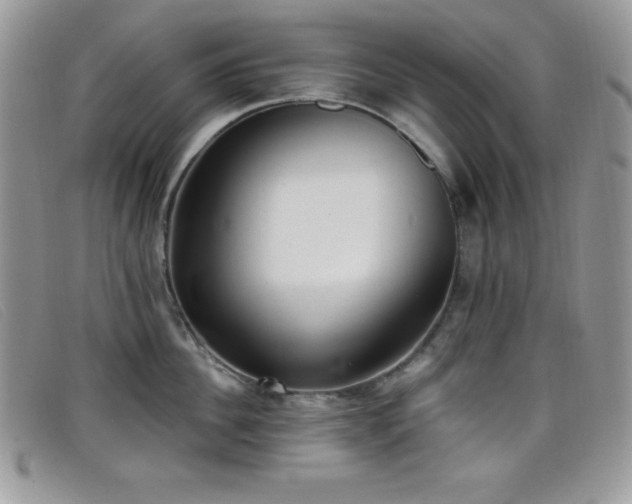 X0000099320956200805021310