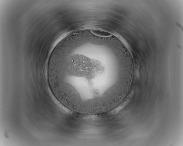 X0000099320957200805021310