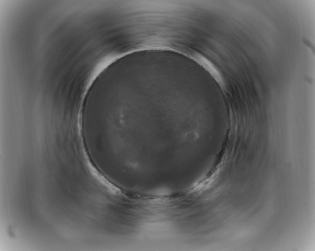 X0000099320958200805021311