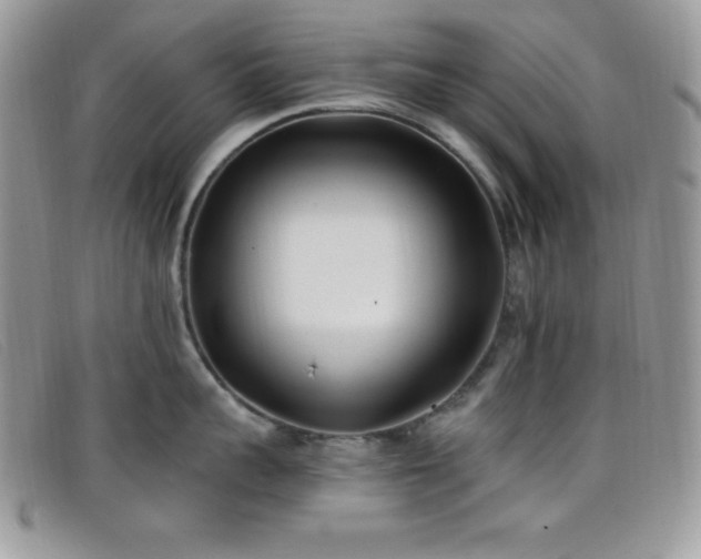 X0000099320959200805021311