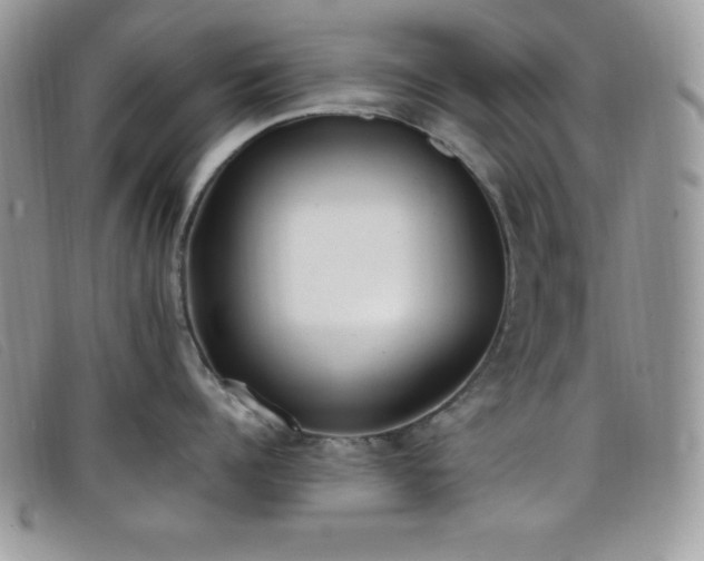 X0000099320960200805021311