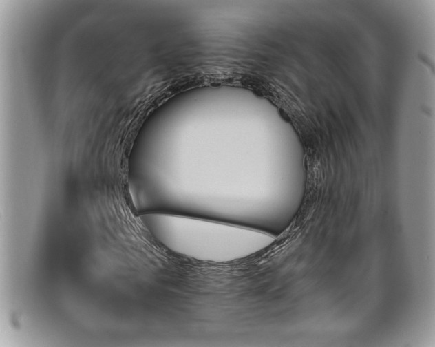 X0000099320961200805021310
