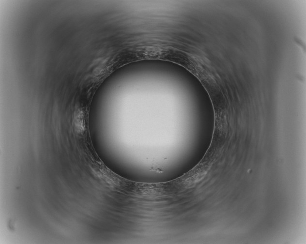 X0000099320962200805021310