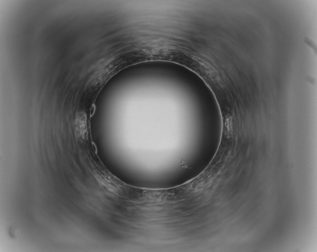 X0000099320963200805021310