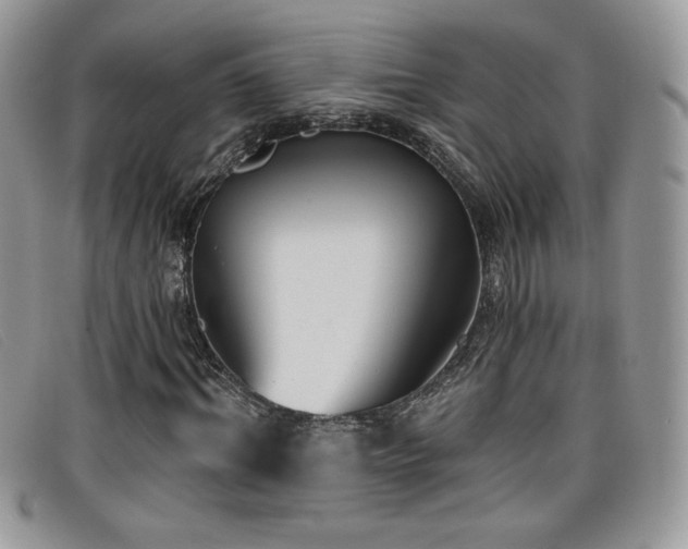 X0000099320964200805021310