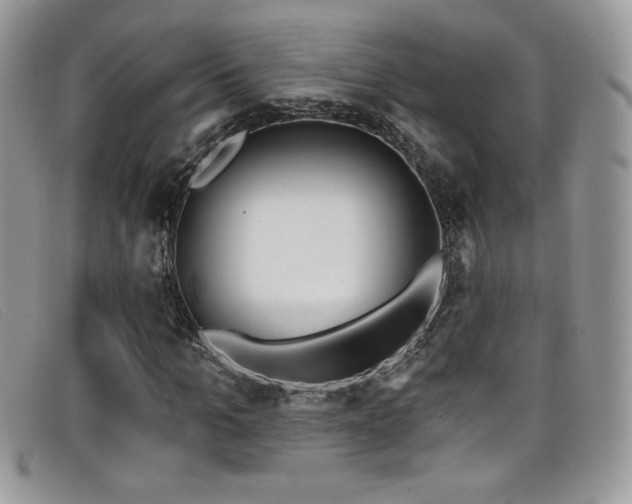 X0000099320965200805021310