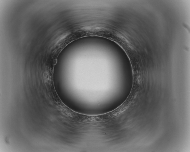 X0000099320966200805021310