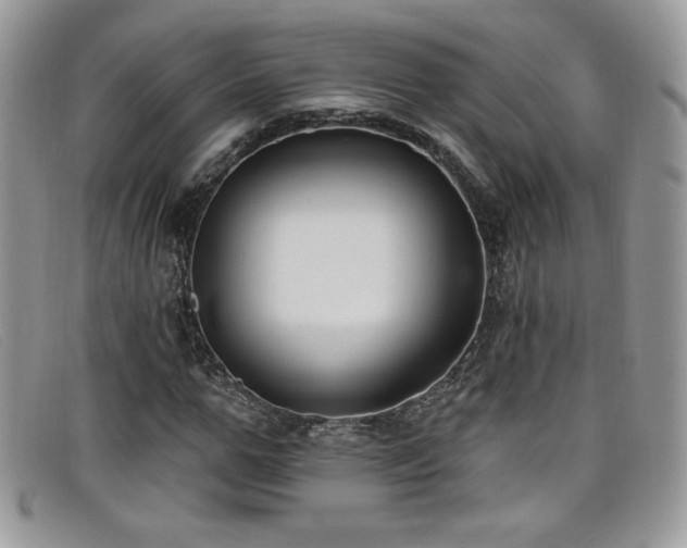 X0000099320967200805021310