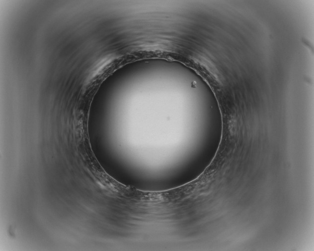 X0000099320968200805021310