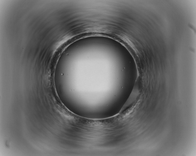 X0000099320971200805021310