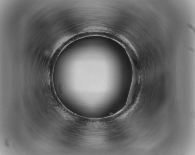 X0000099320973200805021310