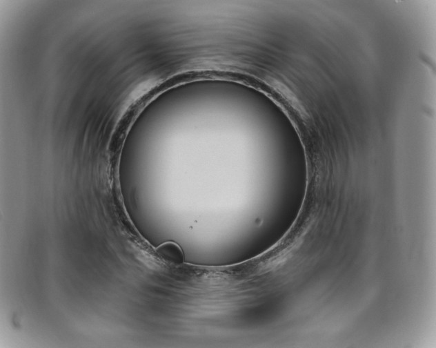 X0000099320974200805021310