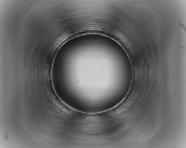 X0000099320977200805021310