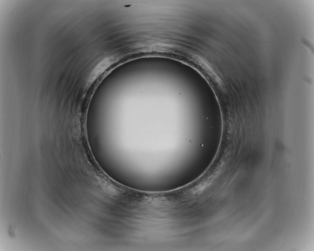 X0000099320978200805021310