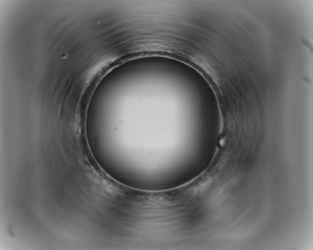 X0000099320979200805021310