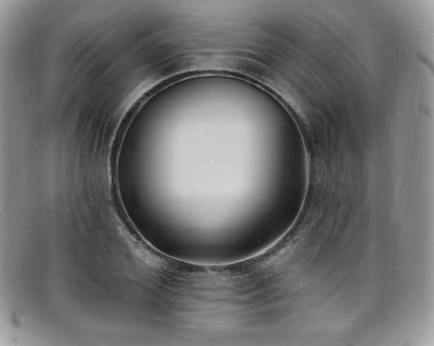 X0000099320980200805021310
