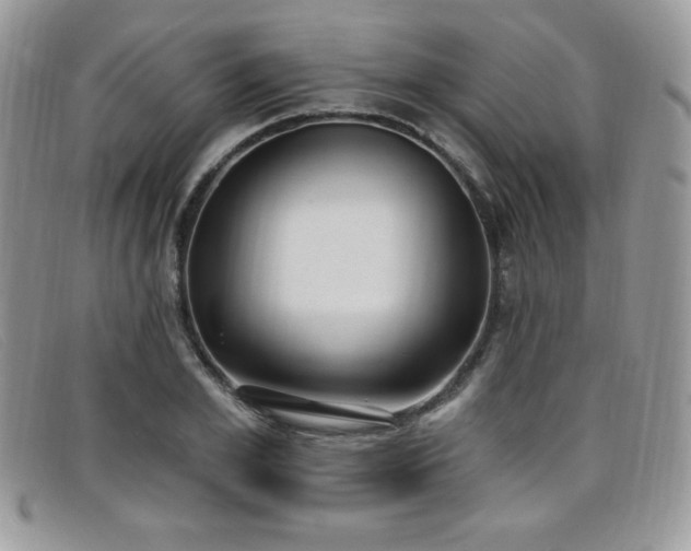 X0000099320981200805021310