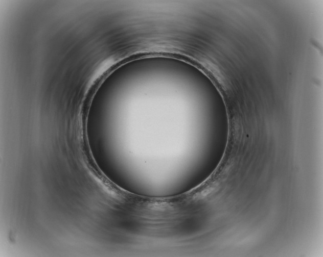 X0000099320982200805021310