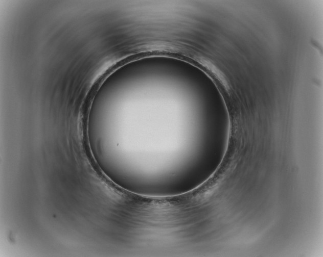 X0000099320983200805021310