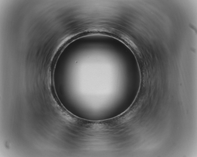 X0000099320984200805021310