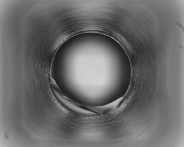 X0000099320985200805021310