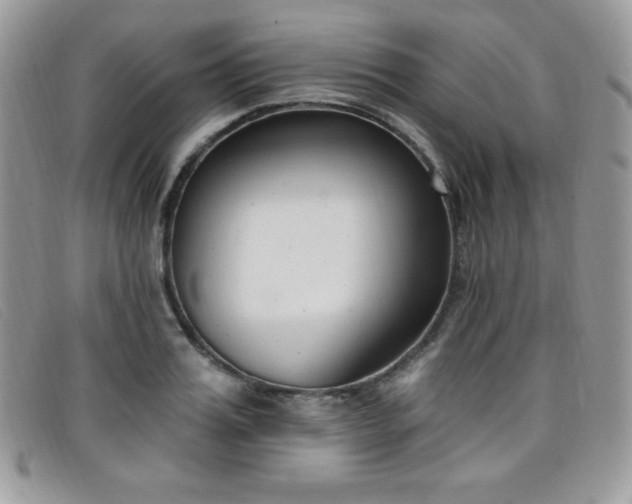 X0000099320987200805021310