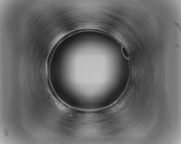 X0000099320988200805021309