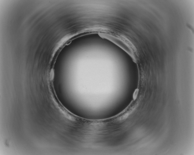 X0000099320989200805021309