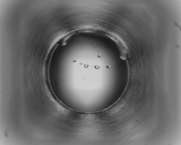 X0000099320991200805021309