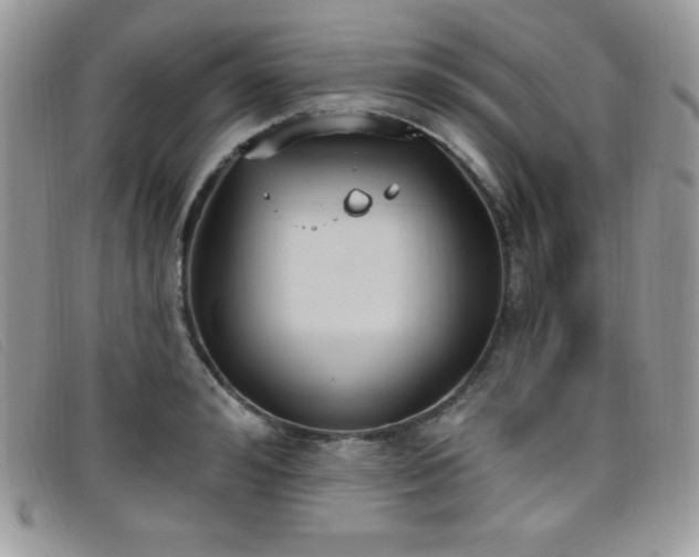 X0000099320992200805021309