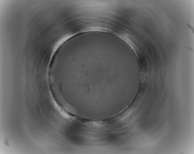 X0000099320995200805021309