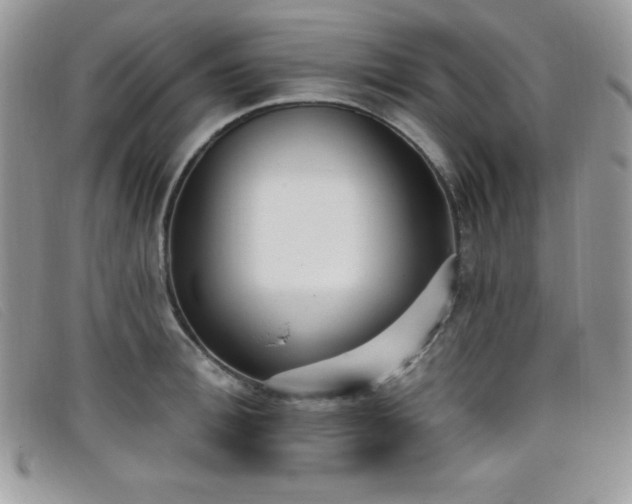 X0000099320996200805021309