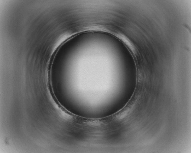 X0000099320999200805021309