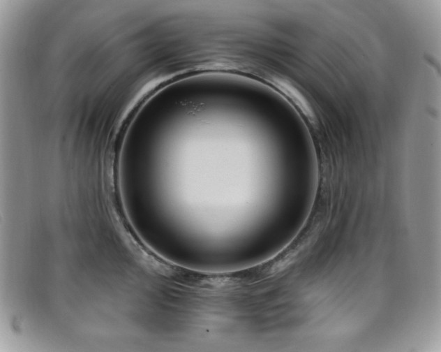 X0000099321000200805021309