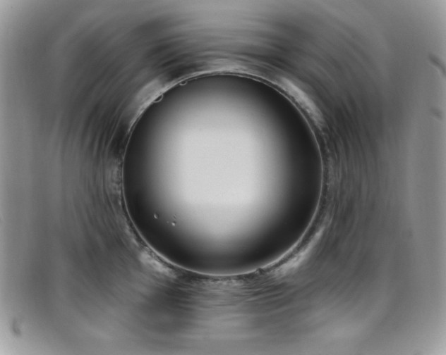 X0000099321001200805021309
