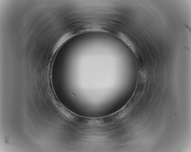 X0000099321002200805021309