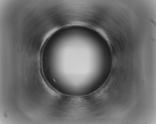 X0000099321003200805021309