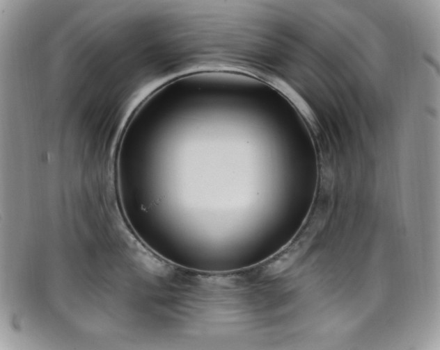 X0000099321004200805021309