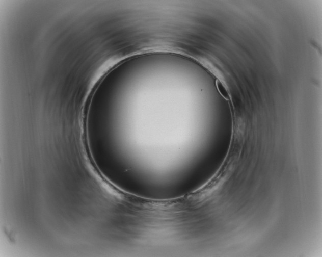 X0000099321005200805021309