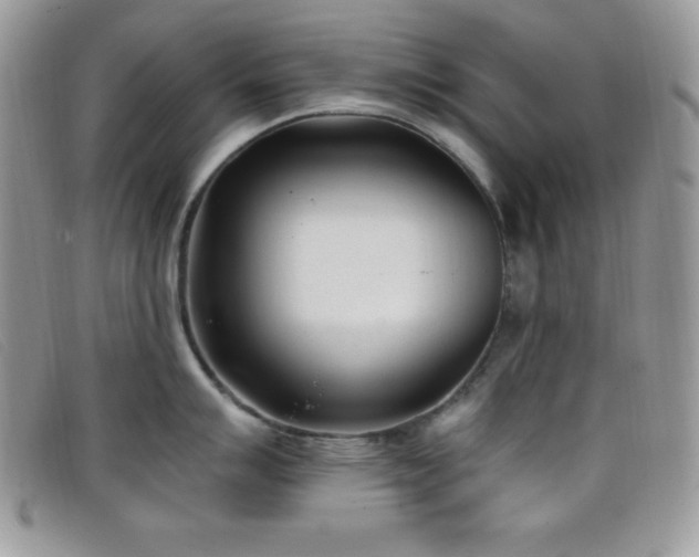 X0000099321007200805021309