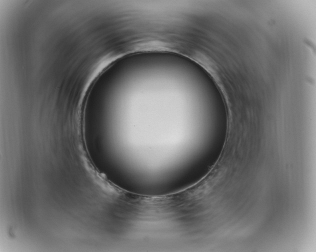X0000099321008200805021309