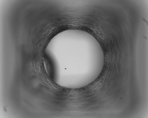 X0000099321009200805021309