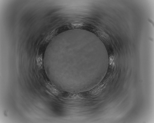 X0000099321011200805021309