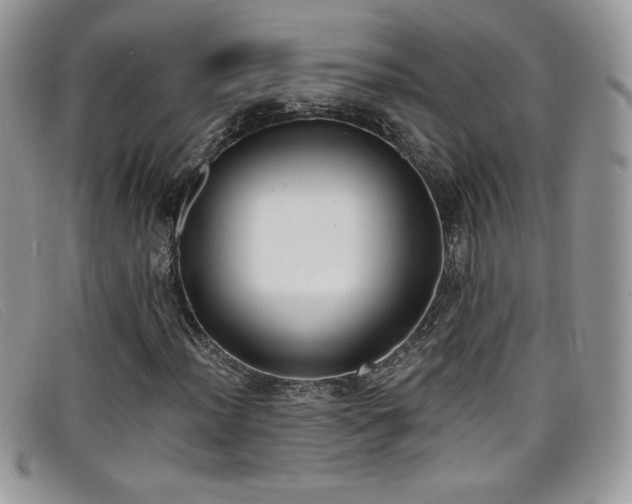 X0000099321012200805021309
